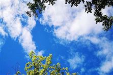 迎“藍(lán)”而上！直擊攀枝花、德陽、內(nèi)江大氣攻堅現(xiàn)場