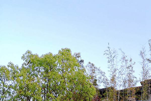 廢氣治理＋綠色運(yùn)輸！安徽省第三生態(tài)環(huán)境保護(hù)督察組調(diào)研阜陽空氣質(zhì)量提升攻堅 